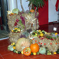 Festwochenende 2005 253