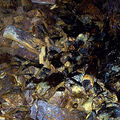 Ausflug 2005 037