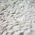 Famspottag 2005 026