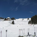 2008-03-22 15-41-50