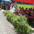 2010-08-01 05