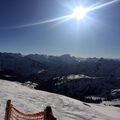 IMG 3698