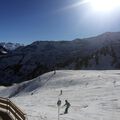 IMG 3708