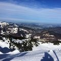 IMG 3711