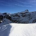 IMG 3716