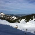 IMG 3717